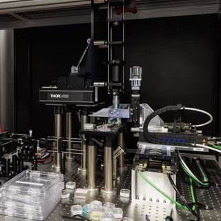 Microsoft a inventé une technologie qui peut stocker les données pendant 10 000 ans. © Microsoft